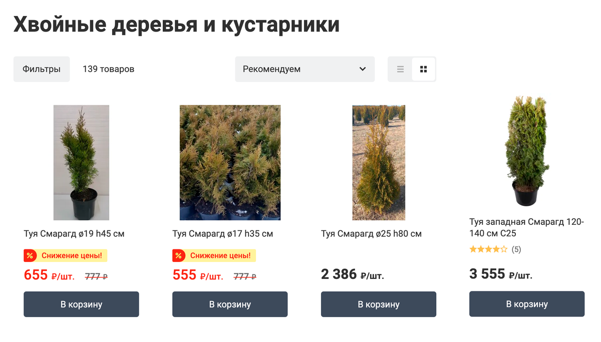 Туи могут стоить от 300&nbsp;до 5000—7000 <span class=ruble>Р</span> в зависимости от сорта и размера. Источник: leroymerlin.ru