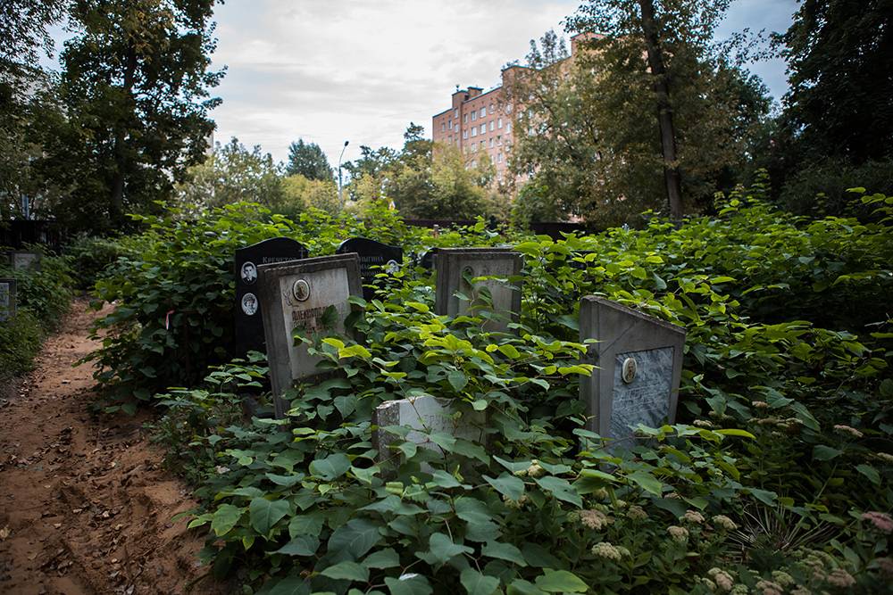 Знаменитые кладбища москвы фото с названиями