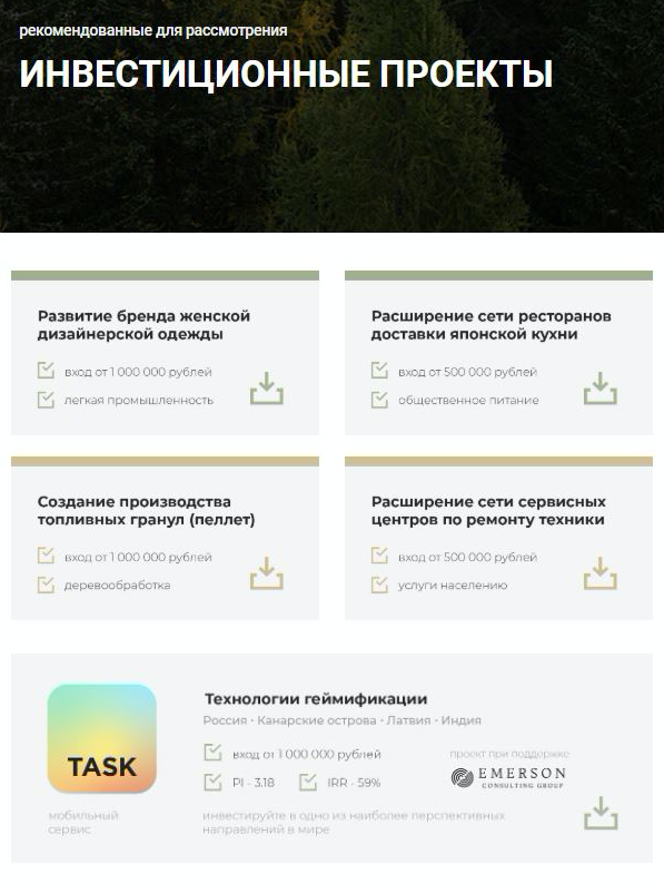 Мне предложили рассмотреть пять проектов. Один из них, мобильный сервис «Таск», реализуется при поддержке Emerson Consulting Group. Еще в одном, который касается топливных гранул, эта компания выступает организатором