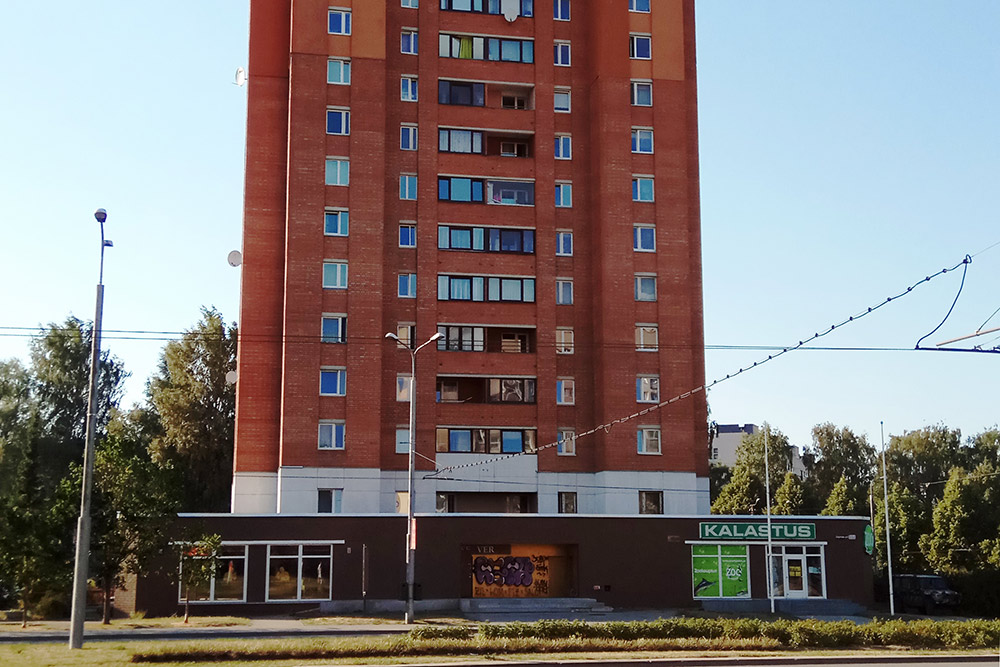 Иногда среди панелек встречаются кирпичные и монолитные дома