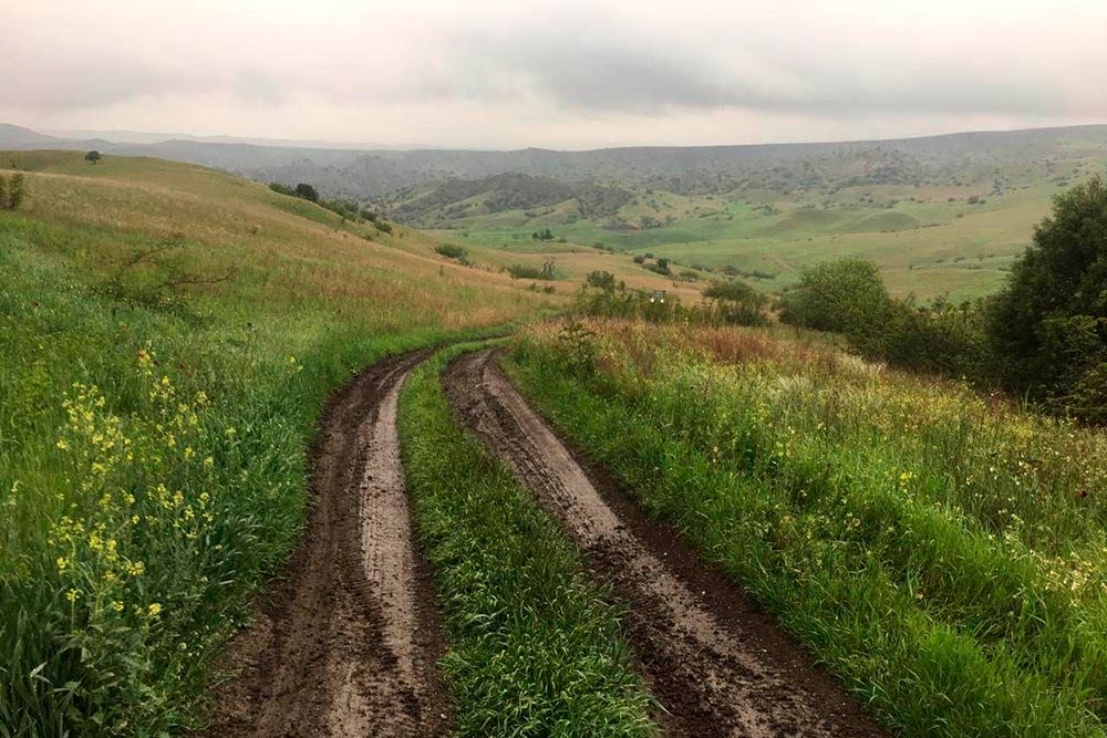 После дождя дороги в парке размывает