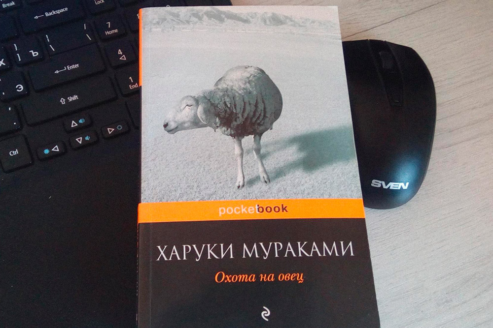 Следующая книга на очереди — бумажная. Только начал читать, мнение пока высказывать рано