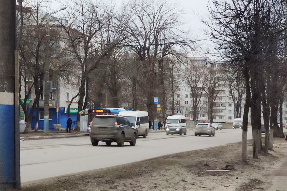 В начале 2019 года в области насчитывалось около 265 тысяч автомобилей
