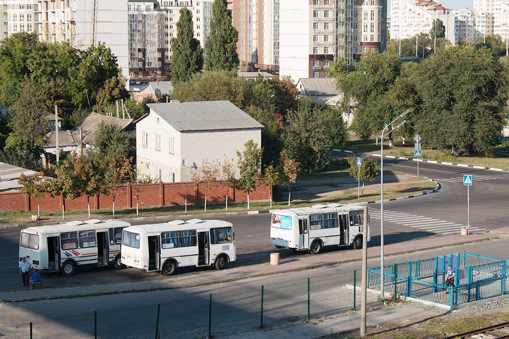 Основная часть маршруток — пазики, а вот газелей нет совсем