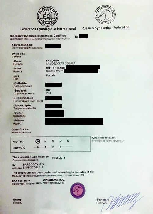 Подтверждение результатов теста на дисплазию из РКФ и международный офтальмологический сертификат. Все серьезно