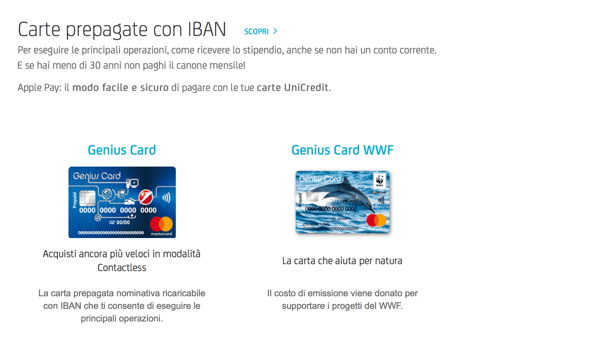 Карта «препагата» с IBAN. Источник: Unicredit.it