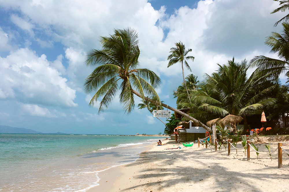 Пляж Мимоза, на котором висит табличка «Here is Koh Samui»