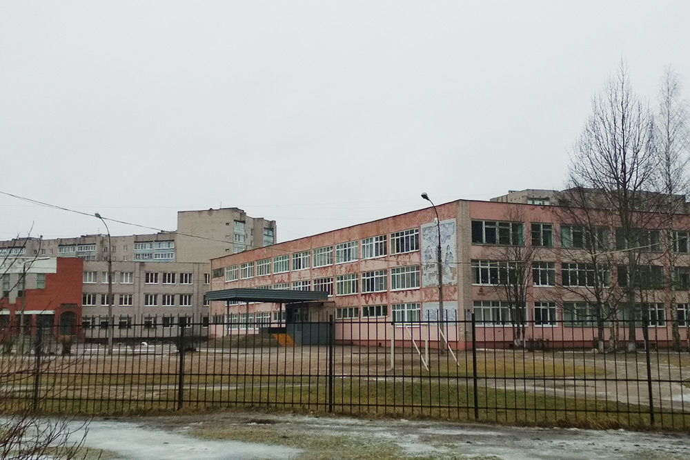Школа № 31 в Псковском районе открылась в 1987 году, и с тех пор фасад не ремонтировали