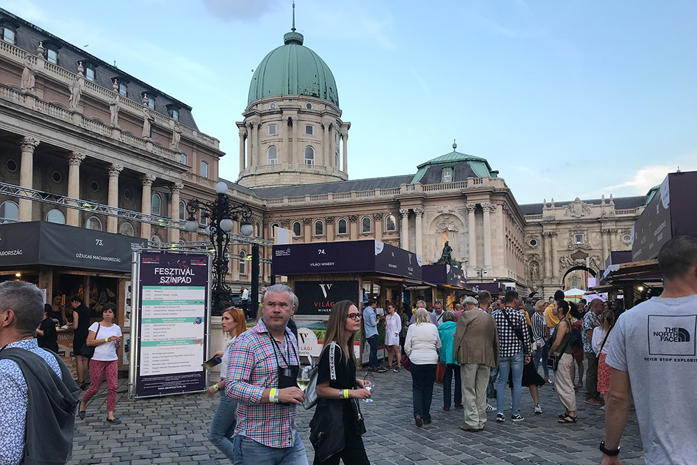 Самый масштабный местный фестиваль вина — Budapest Borfesztivál. Он ежегодно проходит на территории Королевского дворца