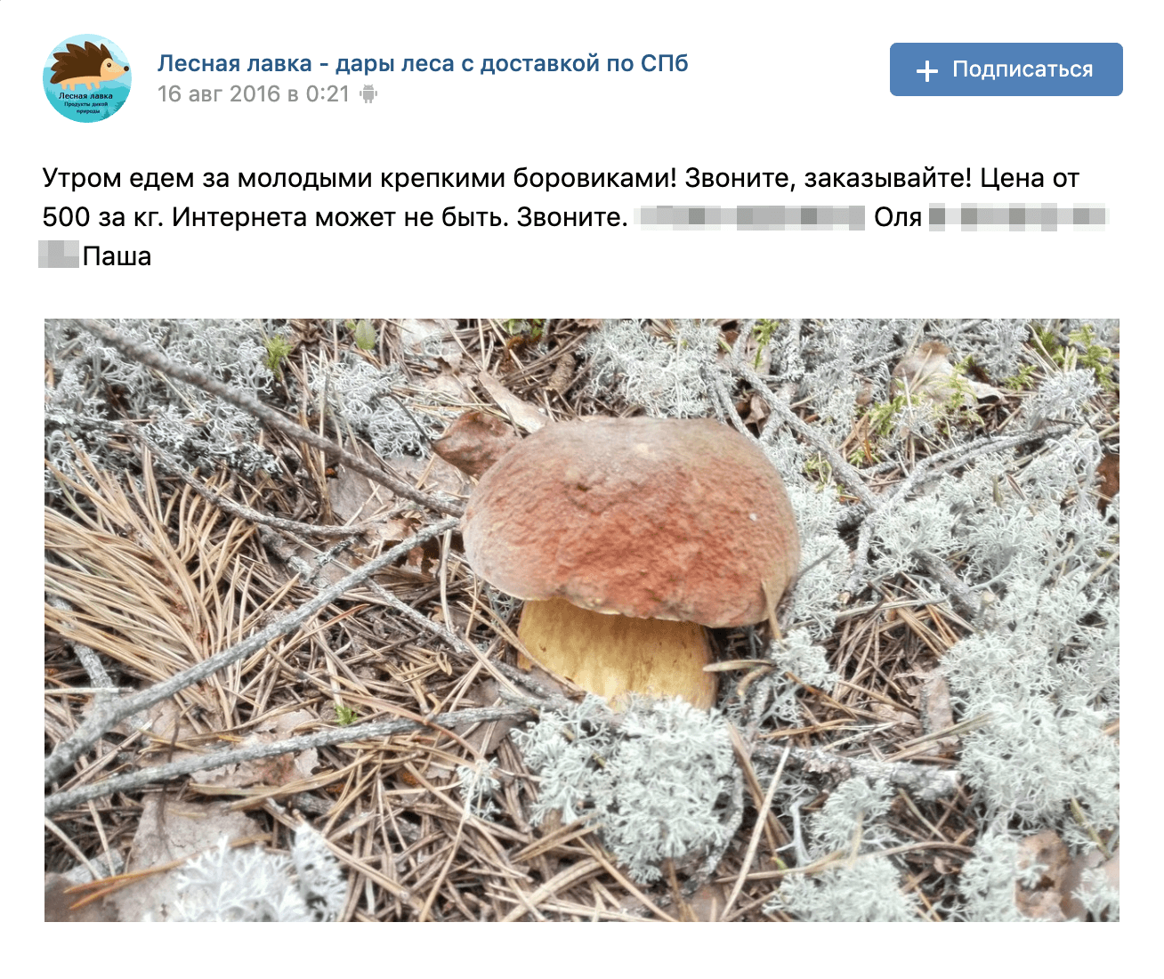 Главное в постах — фотографии, поэтому делаю их много и выбираю лучшие. Фотографирую сама, на телефон, потом никак не обрабатываю. Так получается живее и правдивее