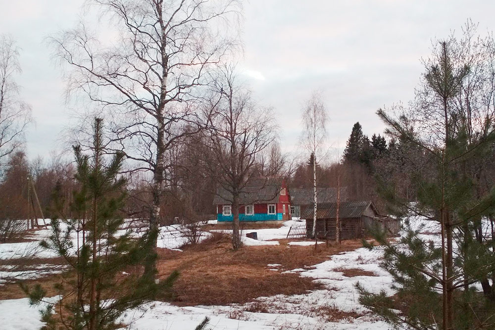 Наш дом ближайший к озеру, вместо соседей — лесок