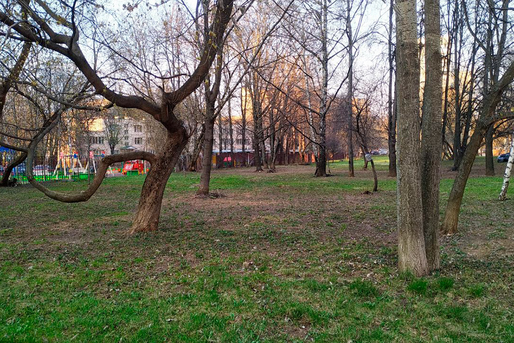 Дорога в детский сад