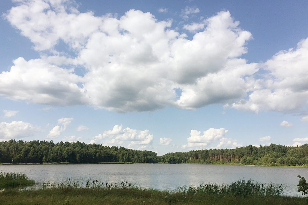 Озеро Старое с бесплатным пляжем и парковкой