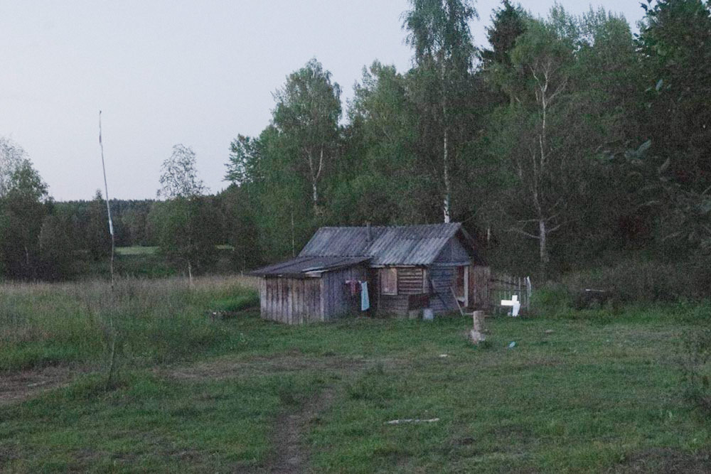 Сразу за баней начинается лес и тропинка к озеру. Осенью на ней растут грибы