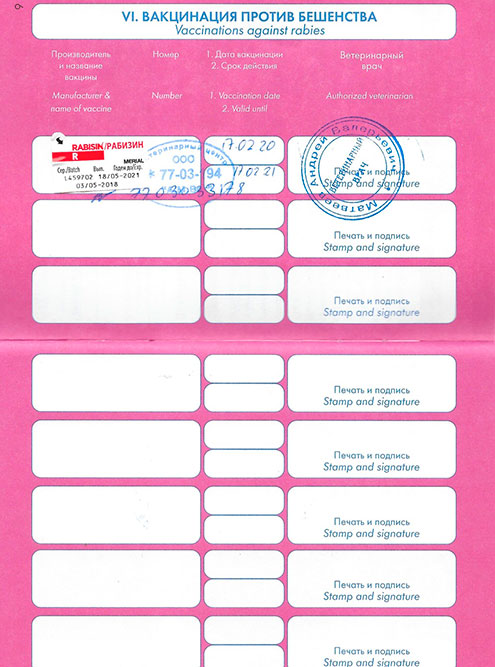 У каждого котенка должен быть ветеринарный паспорт с прививками