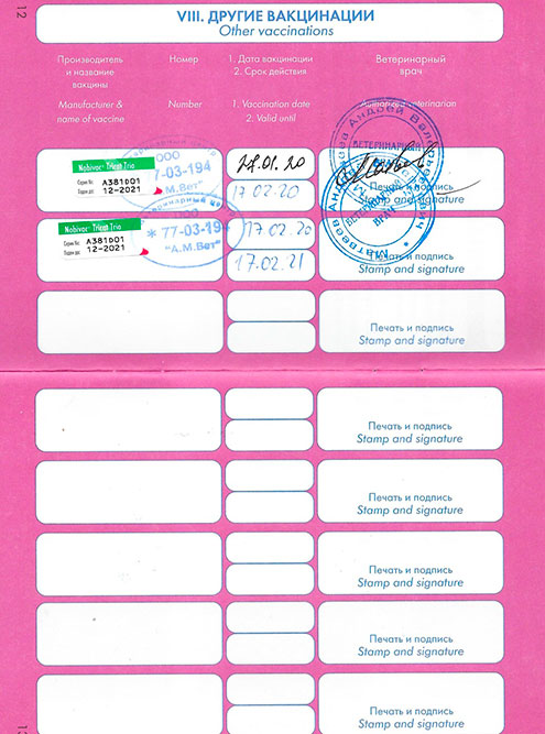 У каждого котенка должен быть ветеринарный паспорт с прививками