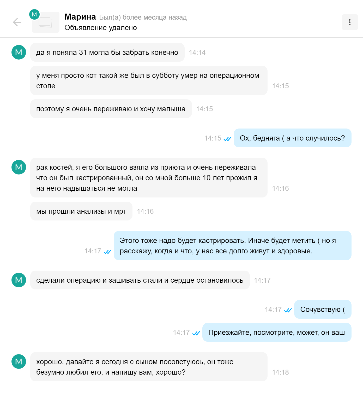 Порой приходится оказывать психологическую помощь потенциальным покупателям. Эта покупательница написала по объявлению о продаже котенка и рассказала, как умер ее прежний кот