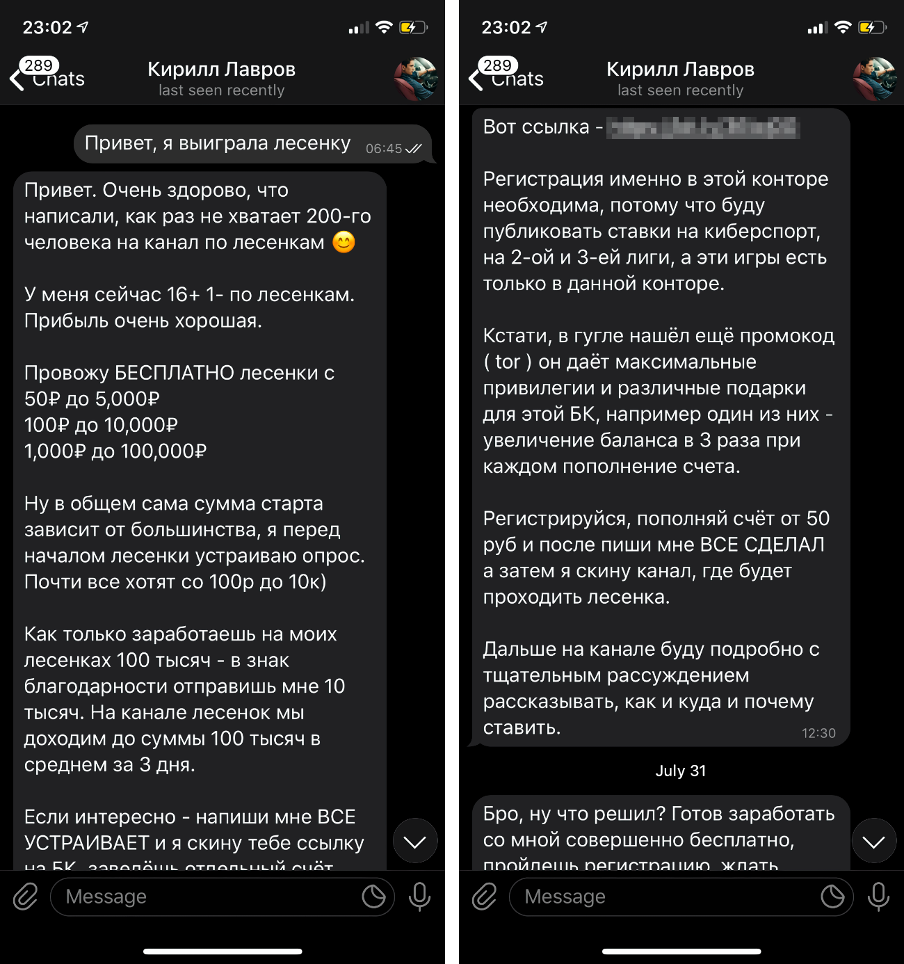 Кирилл пообещал золотые горы. Позабавило, что иногда он обращался ко мне в мужском роде: видимо, вставлял заготовленные фразы