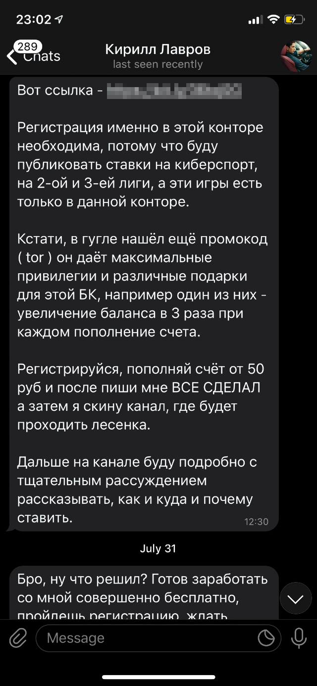 Кирилл пообещал золотые горы. Позабавило, что иногда он обращался ко мне в мужском роде: видимо, вставлял заготовленные фразы