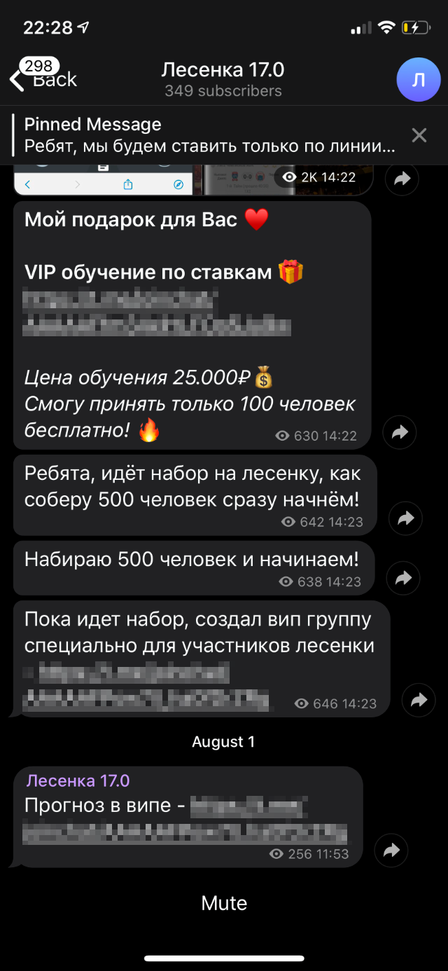 Я попала в закрытый чат, в котором организатор рекламировал свои курсы по ставкам. Ставить рекомендовали согласно прогнозам из открытого канала, причем мне «повезло» попасть на проигрышный прогноз