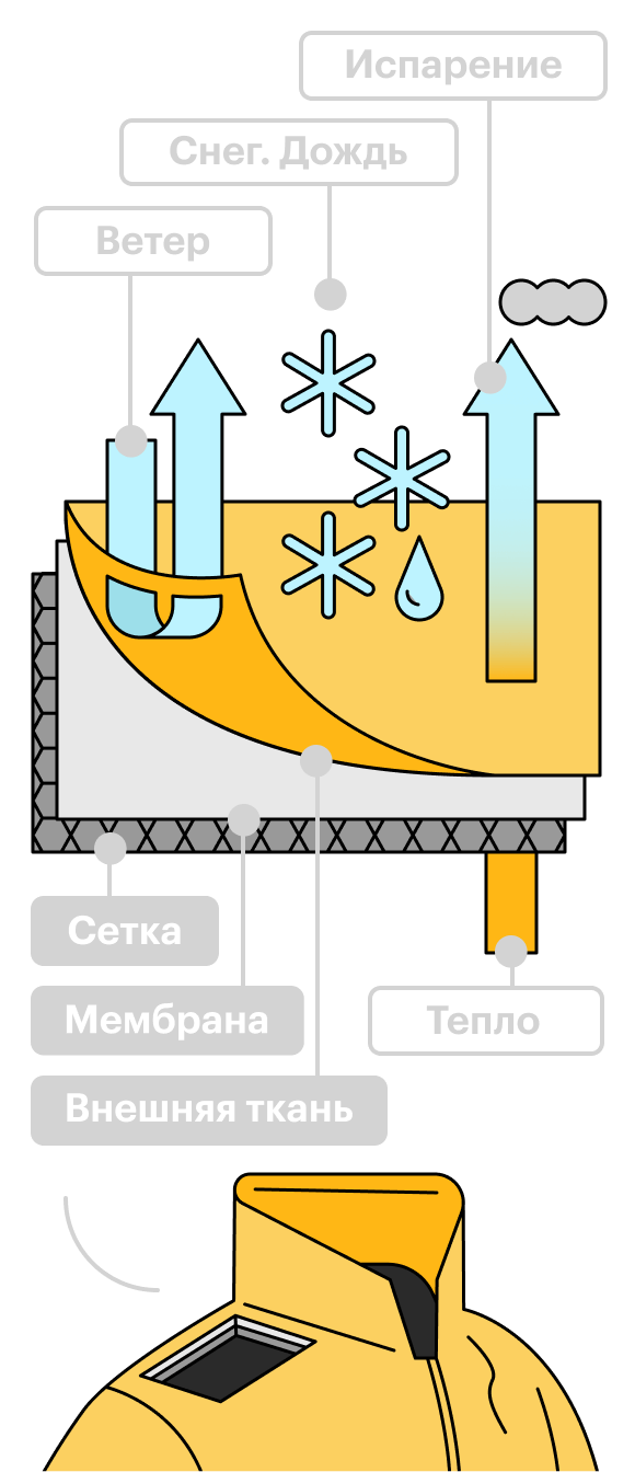Схема работы мембраны