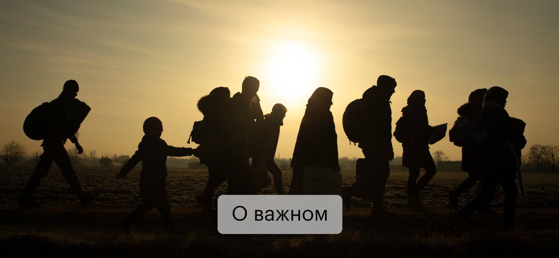 12 организаций, которые помогают беженцам и мигрантам в России