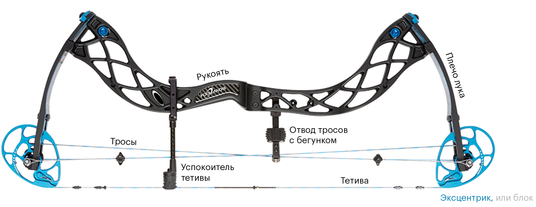 Я стреляю из блочного лука Bowtech Eva Shockey Signature Series. Вот как он устроен