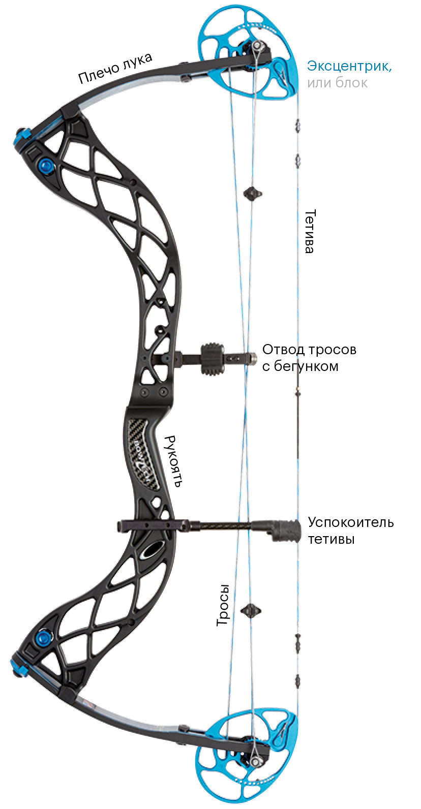 Я стреляю из блочного лука Bowtech Eva Shockey Signature Series. Вот как он устроен