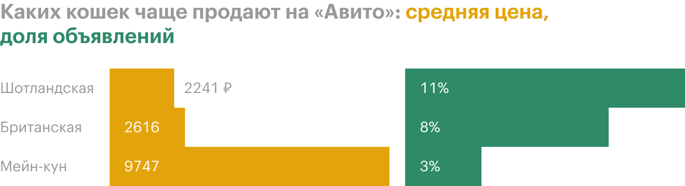 Источник: «Авито»