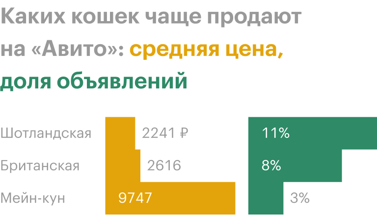 Источник: «Авито»