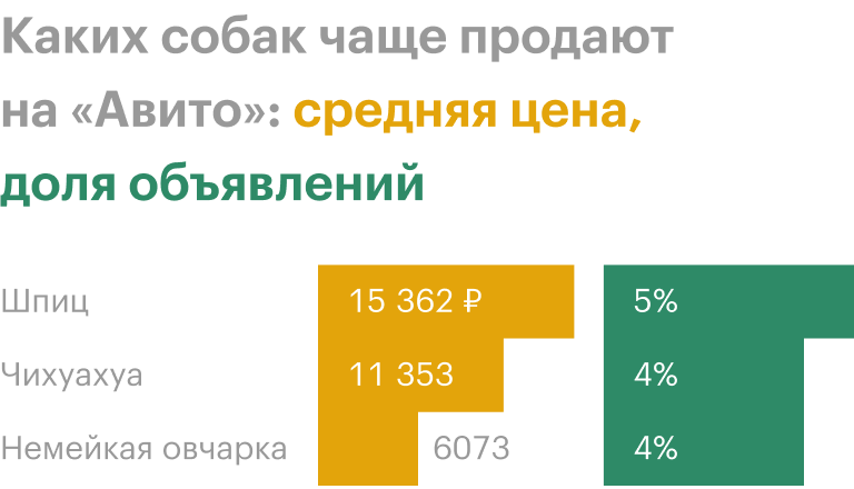 Источник: «Авито»