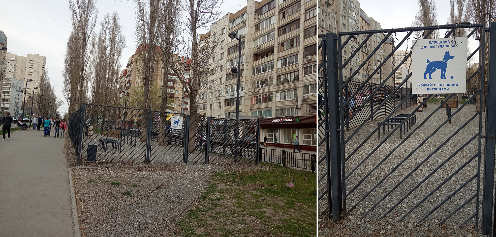 В Саратове площадка для выгула собак выглядит вот так: огорожена забором, обозначена информационной табличкой, посыпана гравием. От моего дома до такой площадки 3 км