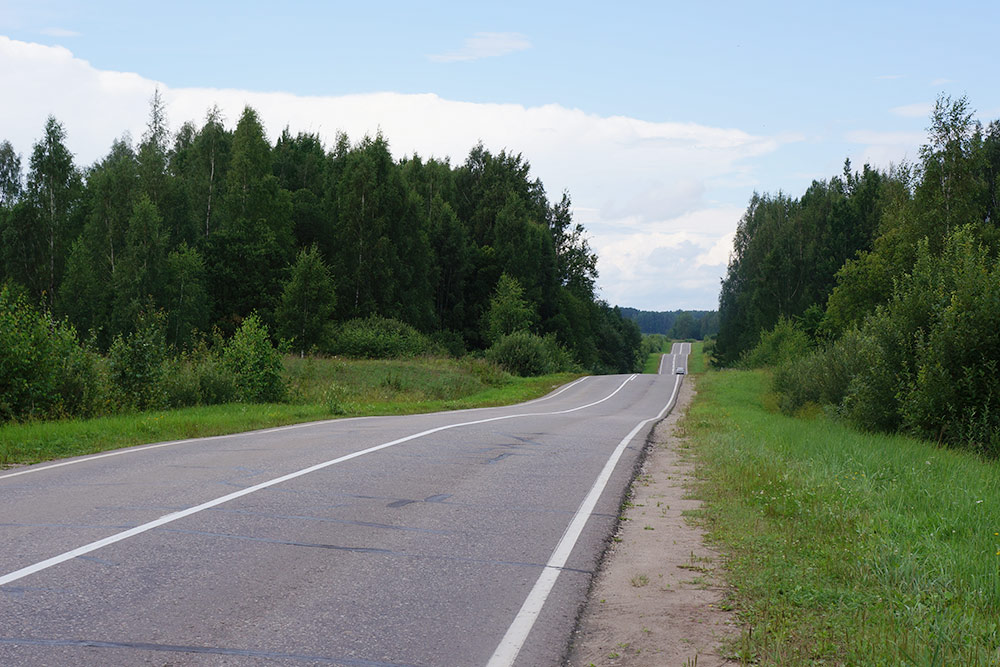 Пушкинские горы — это не только название. Местами там вот такие горки. Однажды мы за день накатали там 50 км на велосипедах. Ночью эти горки мне снились