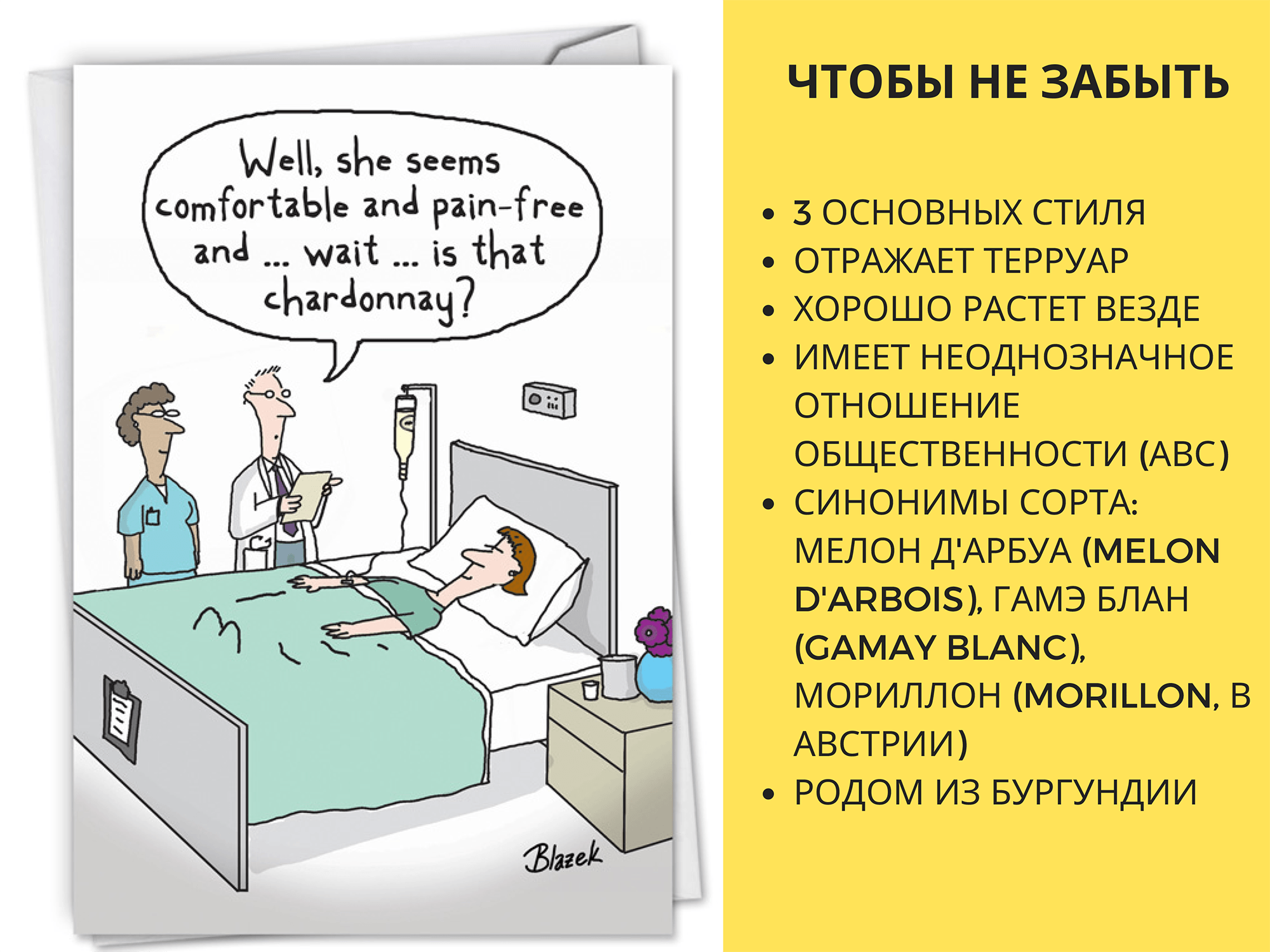 Фрагмент моей презентации о шардоне
