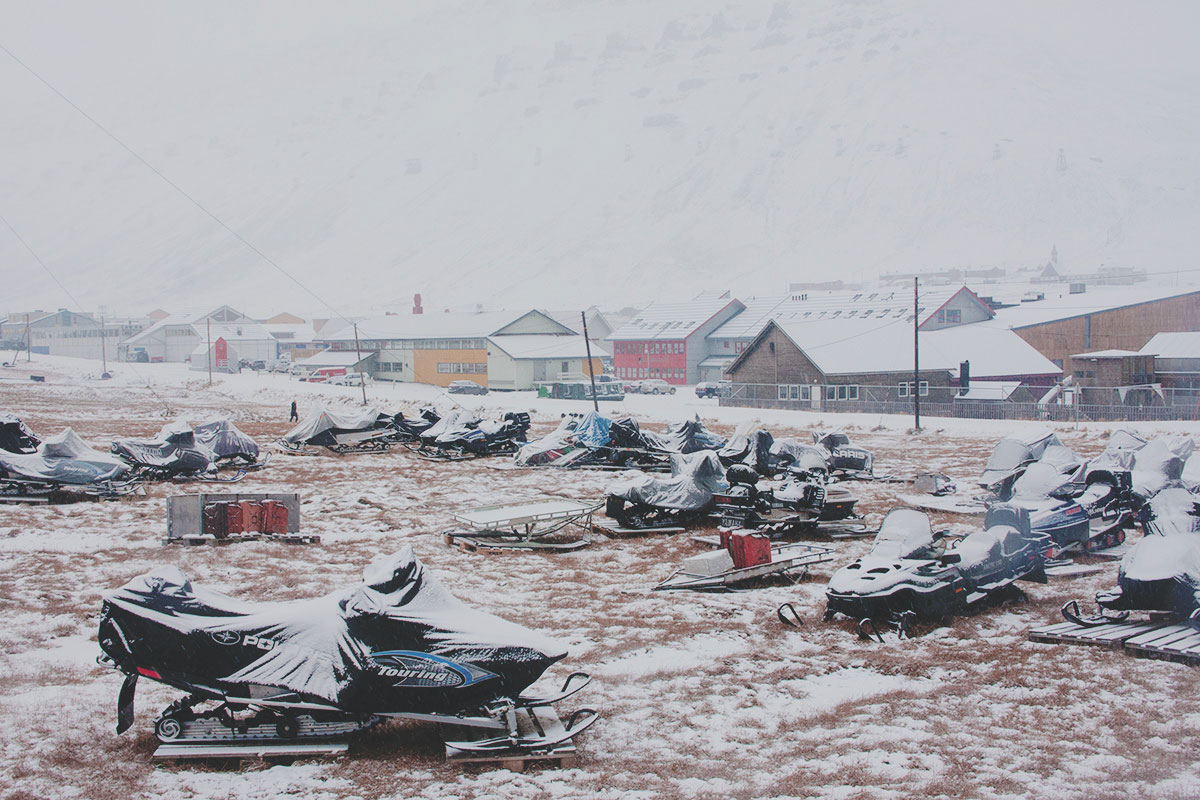 spitzbergen__snegohod2.4o1zzgtgs6fj.jpg