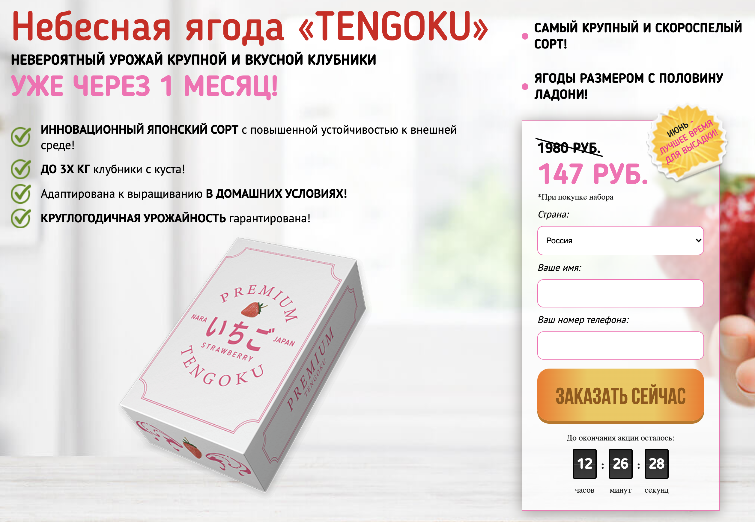 Чуть позже я нашла еще один сайт, который продает ягодницы Tengoku, но уже с другой подачей. Наверное, продавцы пробуют разный подход к аудитории. Или же постоянно меняют сайты, потому что их постоянно блокируют