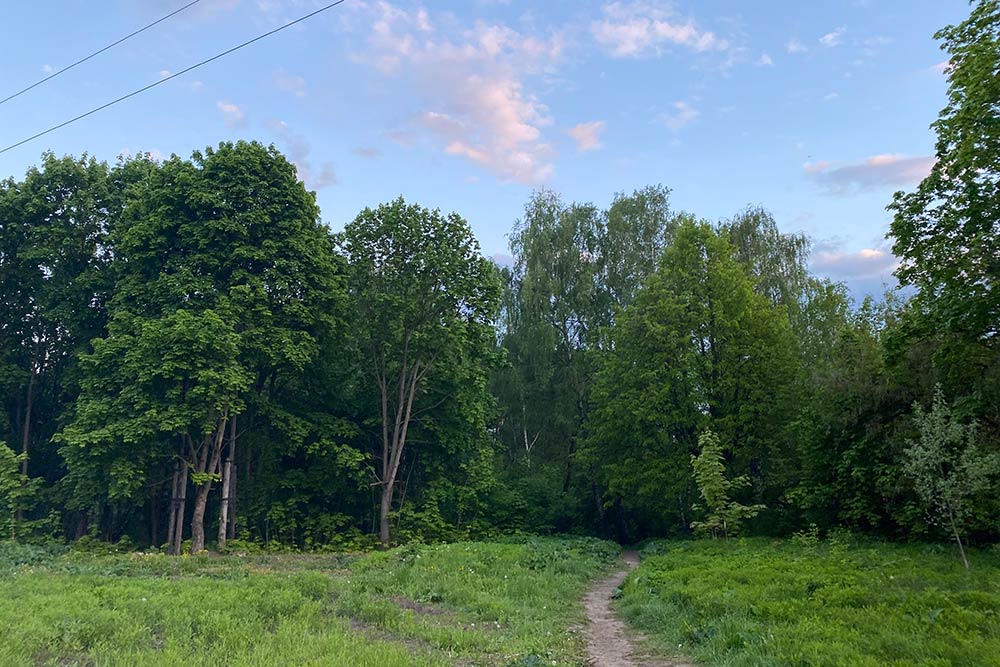 В Туле можно пойти гулять по городу и внезапно оказаться в лесу. Вот это, например, дикая часть Рогожинского парка в спальном районе. Он тихий и спокойный, там всегда мало людей. Рогожинский парк — следующий в очереди на благоустройство. В нем расчистили пруд, а теперь планируют сделать дорожки и детские площадки