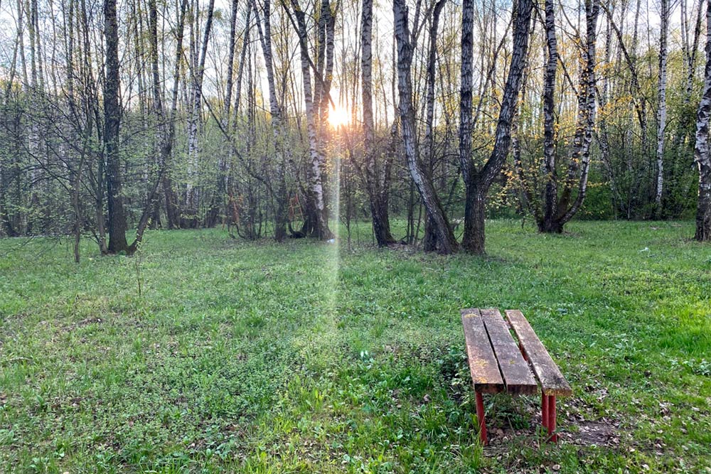 В Хомякове есть потайные места с лавочками. А рядом — большой пруд