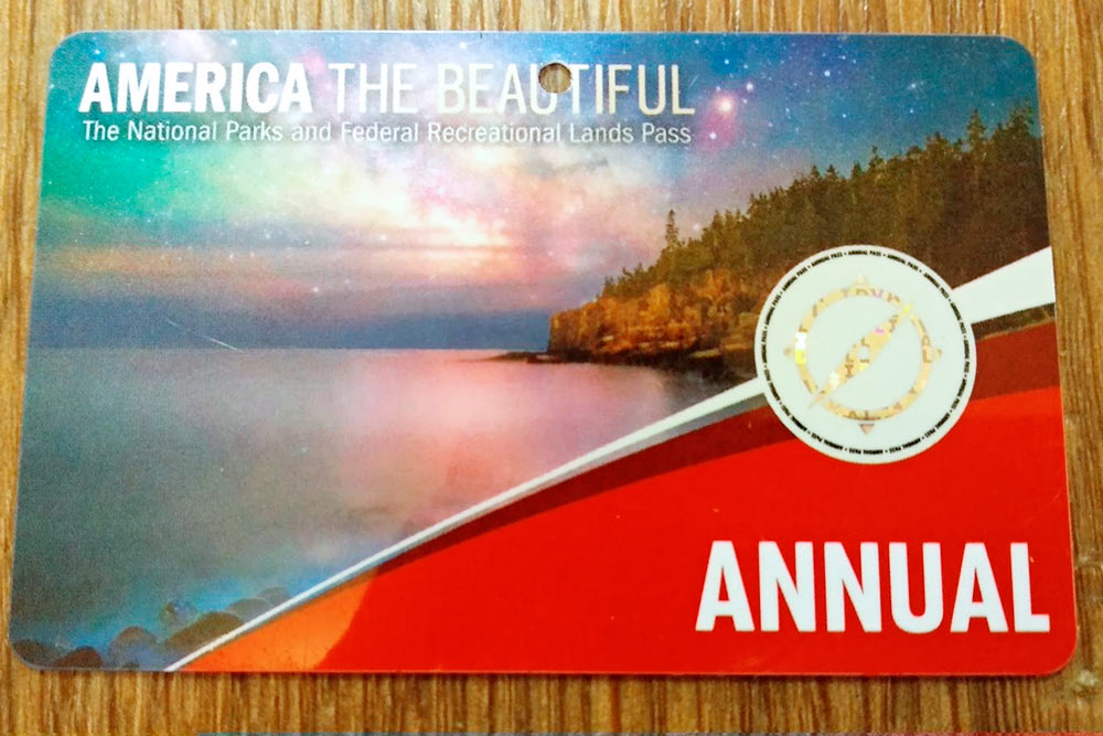 Лицевая часть абонемента Annual pass за 80 $ (около 6398 <span class=ruble>Р</span>)
