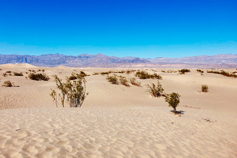 Дюны Mesquite Flat, где снимали эпизоды фильма «Звездные войны». Их высота может быть до 10 метров, но летом здесь невыносимо жарко, поэтому долго гулять не выйдет