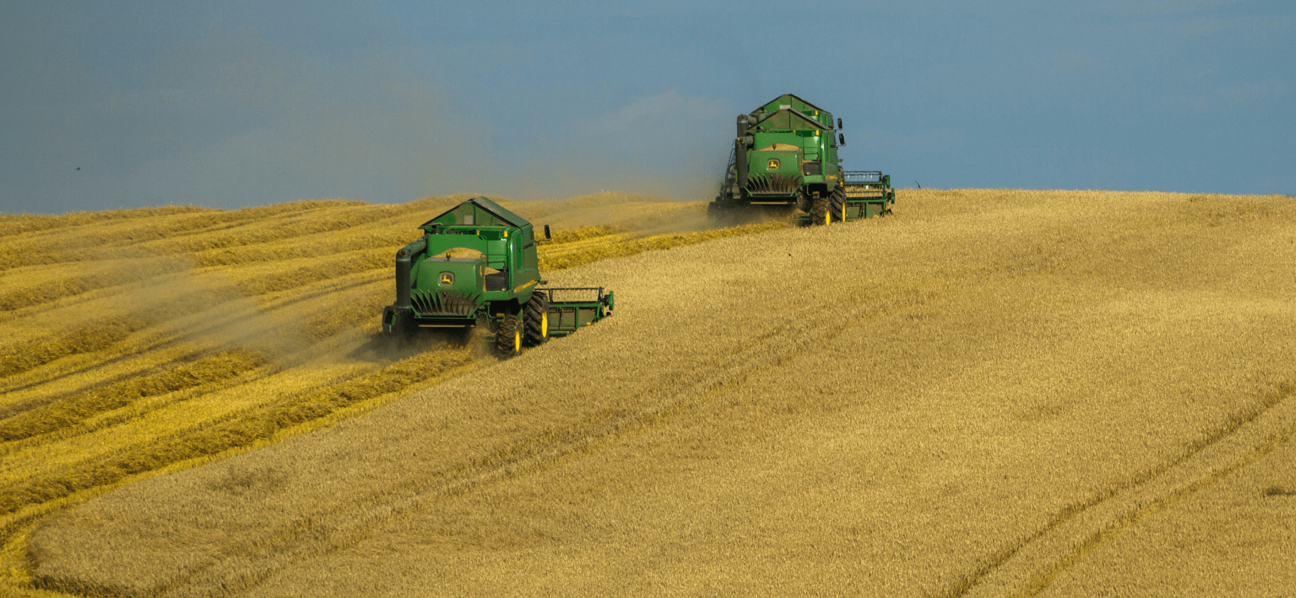 5 стран — крупнейших экспортеров пшеницы