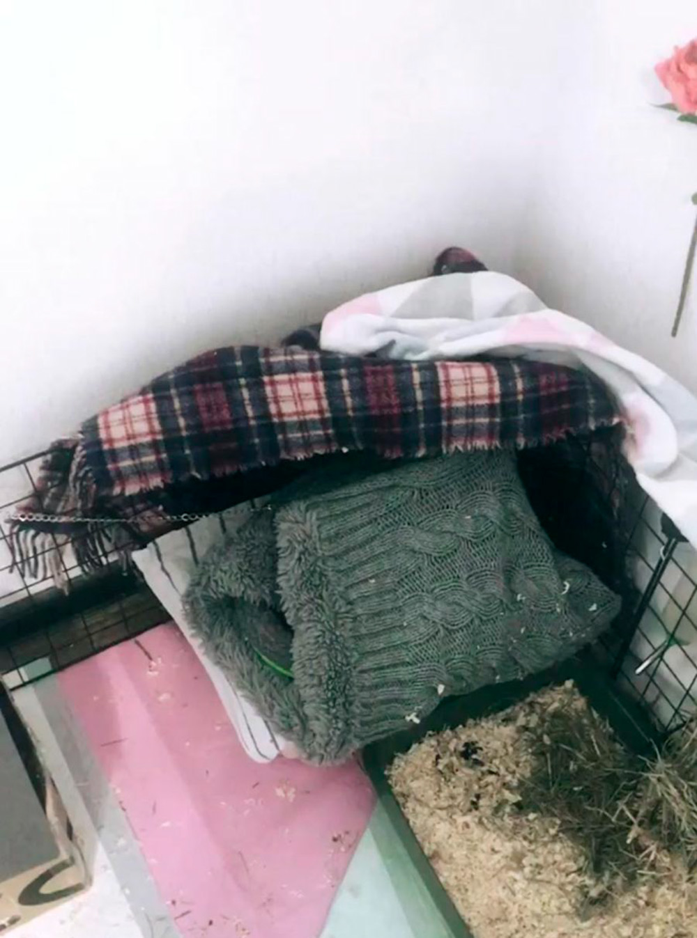 А это мешочек, который я сшила из старого шарфа. Еще мешки можно найти в интернет-магазинах или заказать на «Юле» у рукодельниц