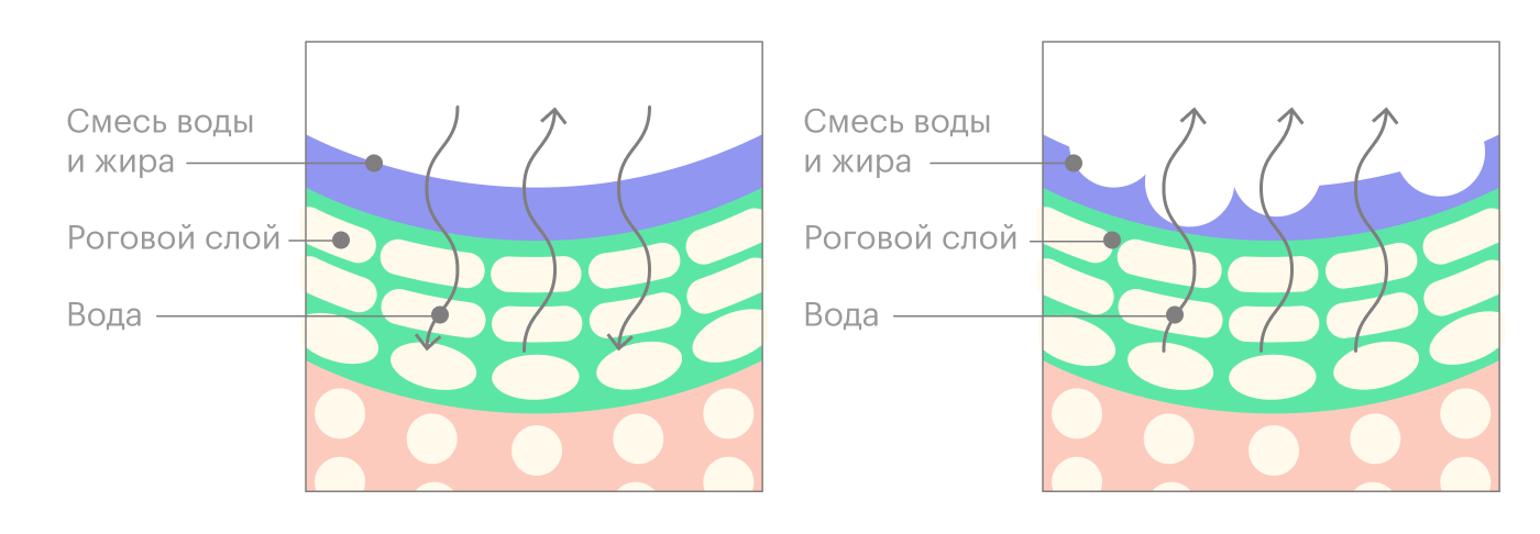 При нормальной влажности воздуха кожа не теряет влагу и восполняет потерю извне. При сухом воздухе кожа теряет больше влаги и становится проницаемой и обезвоженной