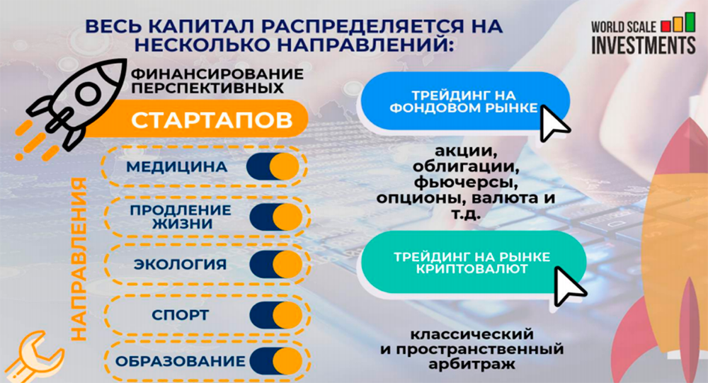 Наукообразная инфографика распределения инвестиций. Я понимала, что даже 45% годовых в долларах — нереальные ставки. Но рынок криптовалют только развивается, можно урвать больше обычного. А тут еще и акции, и социальная польза