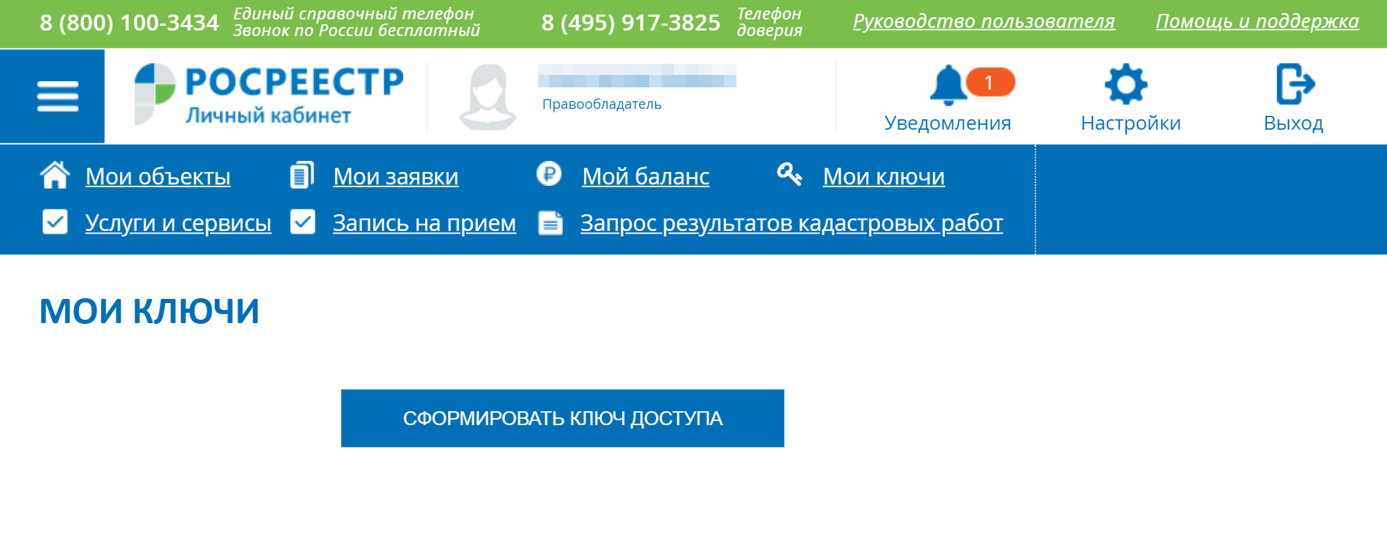 Система предложит сформировать ключ доступа к сервису — соглашайтесь. Ключ доступа нужно сохранить куда-нибудь, он пригодится