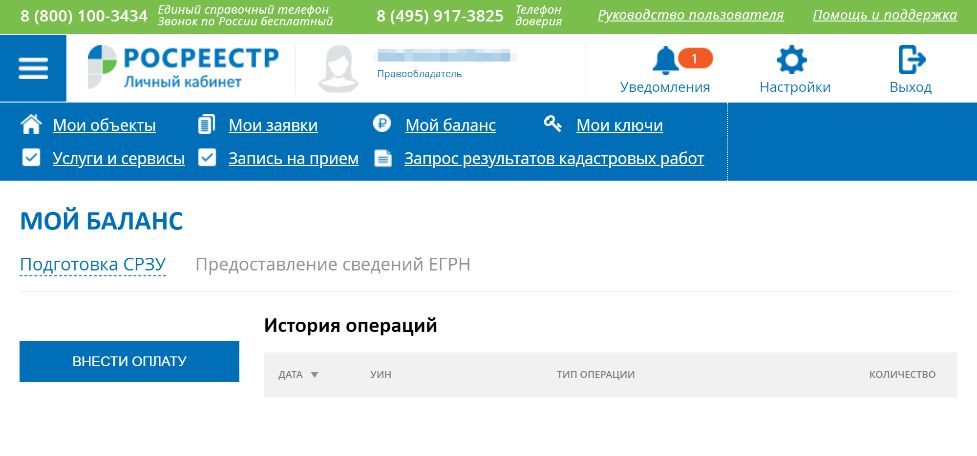 Теперь зайдите в раздел «Мой баланс», нажмите на ссылку «Предоставление сведений ЕГРН», потом на кнопку «Внести оплату»
